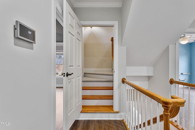 staircase with hardwood / wood-style floors and ornamental molding