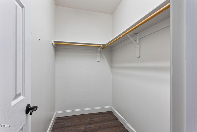 spacious closet with dark hardwood / wood-style flooring