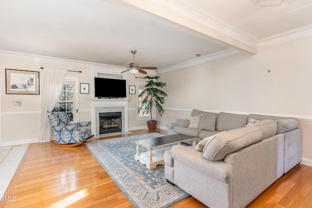 living room featuring beam ceiling, ceiling fan, a premium fireplace, crown molding, and hardwood / wood-style floors