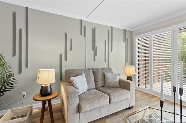 living room featuring hardwood / wood-style floors and a wealth of natural light