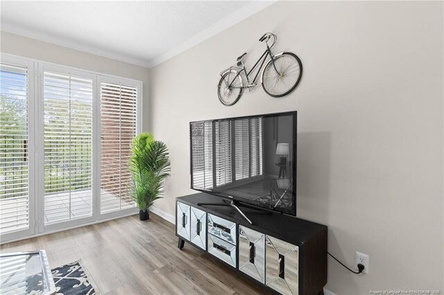 living room with wood-type flooring and ornamental molding