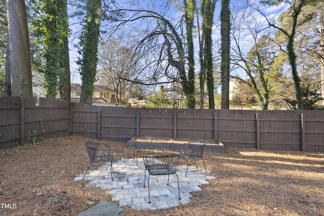 view of yard with a patio