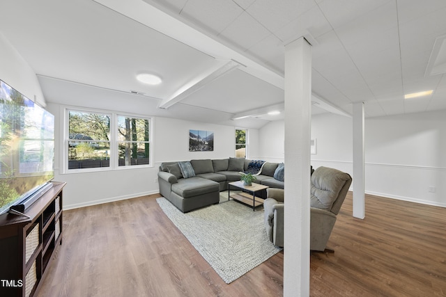 living room with hardwood / wood-style flooring