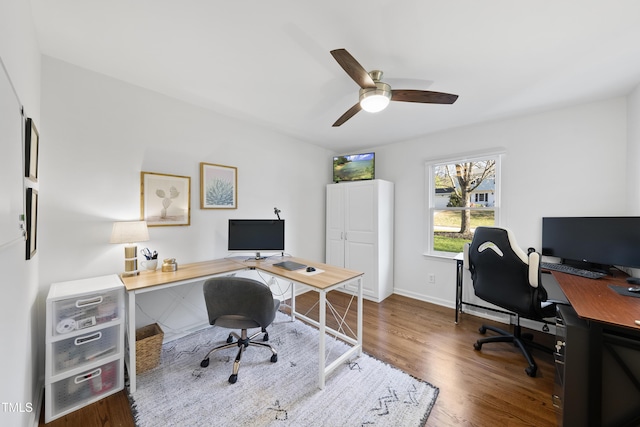 office featuring ceiling fan and dark hardwood / wood-style floors