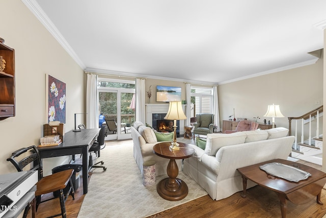 living room with ornamental molding, a healthy amount of sunlight, and light wood-type flooring