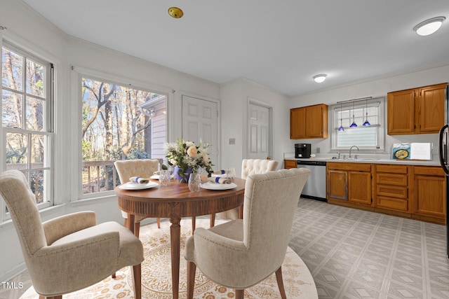 dining room featuring sink and ornamental molding