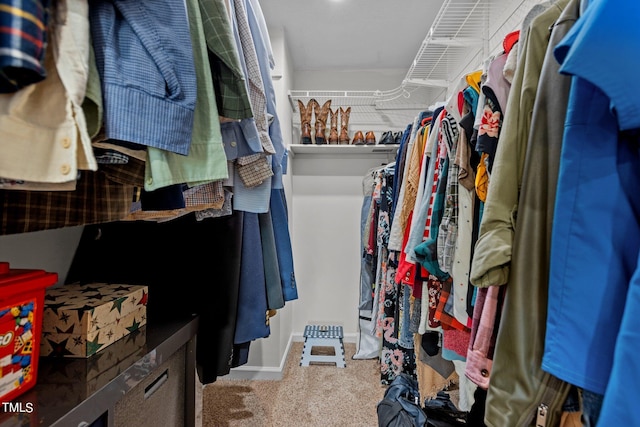 walk in closet featuring carpet flooring