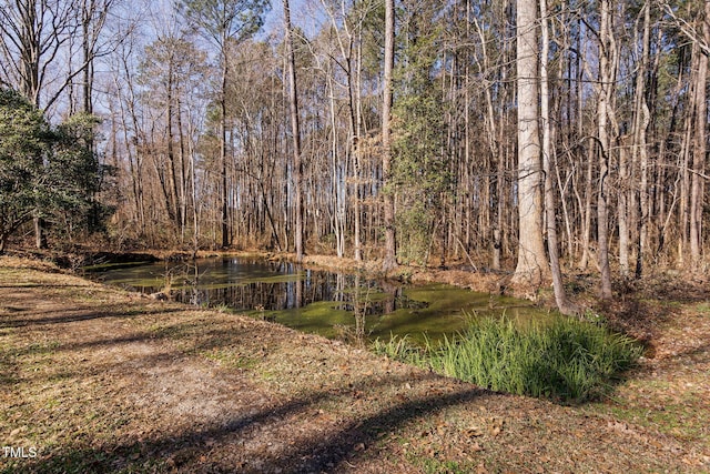 view of local wilderness