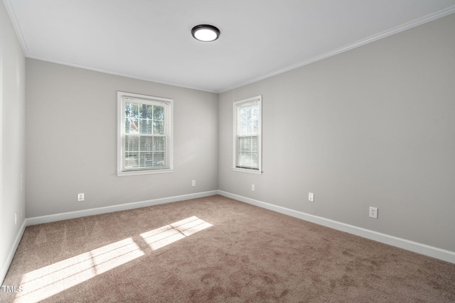 carpeted empty room with ornamental molding