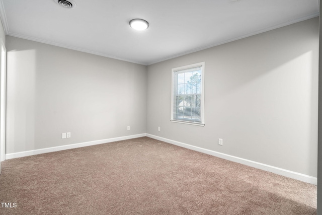 spare room featuring carpet and crown molding