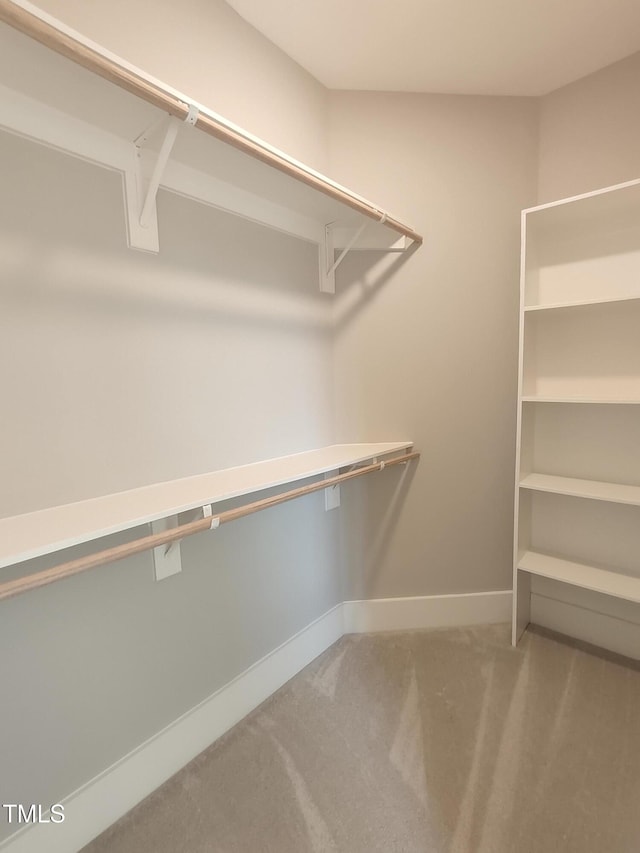 walk in closet with carpet flooring