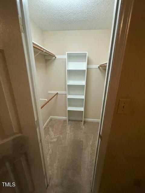 walk in closet featuring carpet flooring