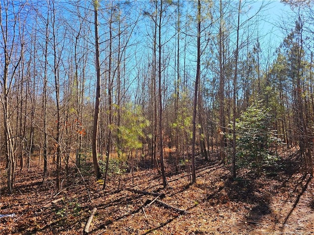 LOT5 Dragonfly Ln, Sanford NC, 27332 land for sale