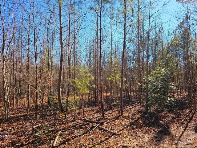 LOT5 Dragonfly Ln, Sanford, NC 27332 - photo 1