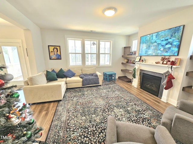 living room featuring hardwood / wood-style floors