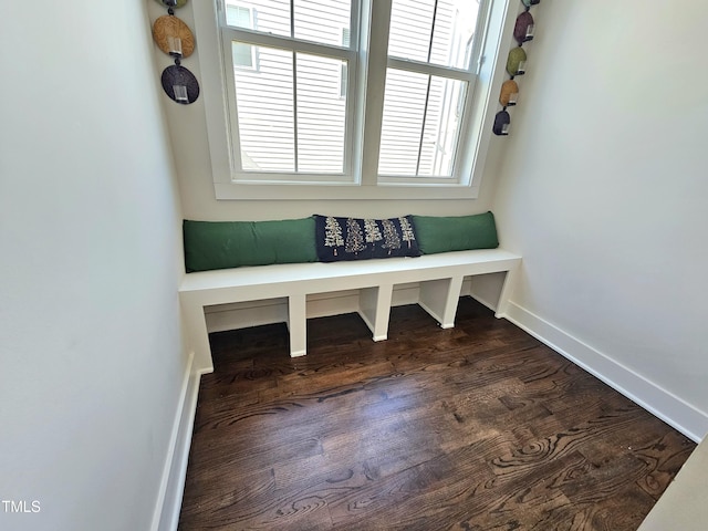 mudroom with dark hardwood / wood-style flooring