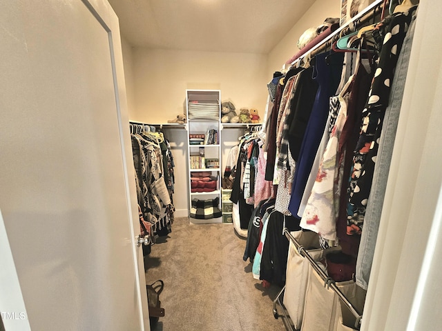 walk in closet featuring light colored carpet