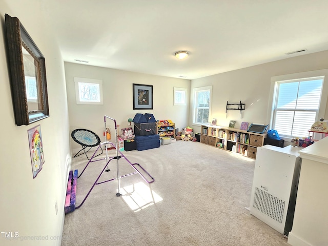 recreation room with light carpet