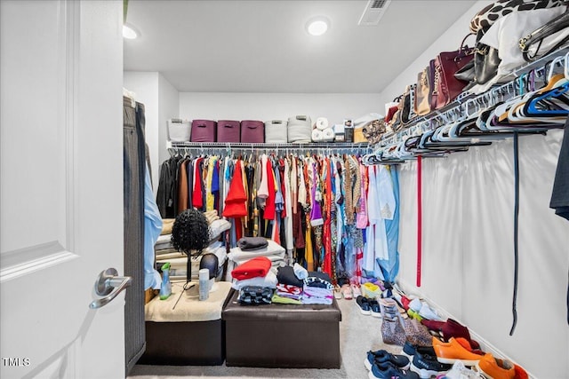 walk in closet featuring carpet flooring