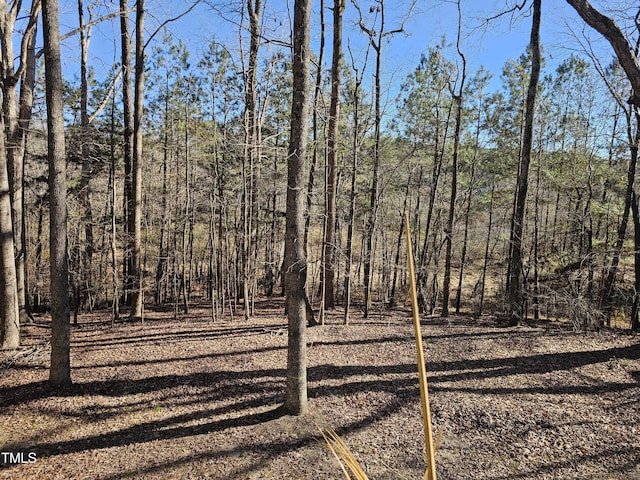 view of nature featuring a view of trees