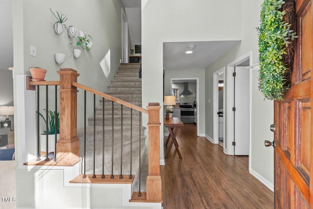 entrance foyer featuring a high ceiling and dark hardwood / wood-style flooring