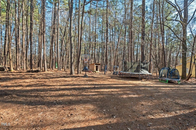 view of yard featuring a trampoline