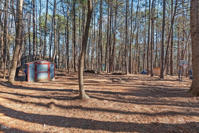 view of yard featuring a storage unit