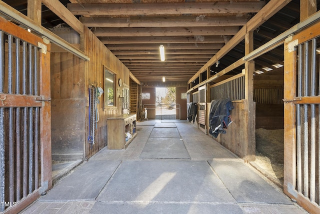 view of horse barn