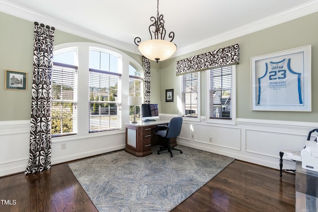 office with dark hardwood / wood-style floors and crown molding