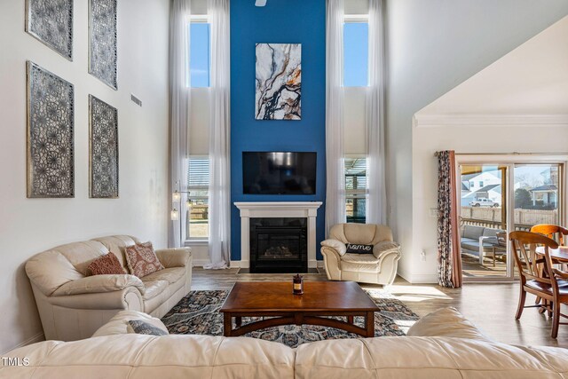 living room with plenty of natural light, a high ceiling, and light wood-type flooring