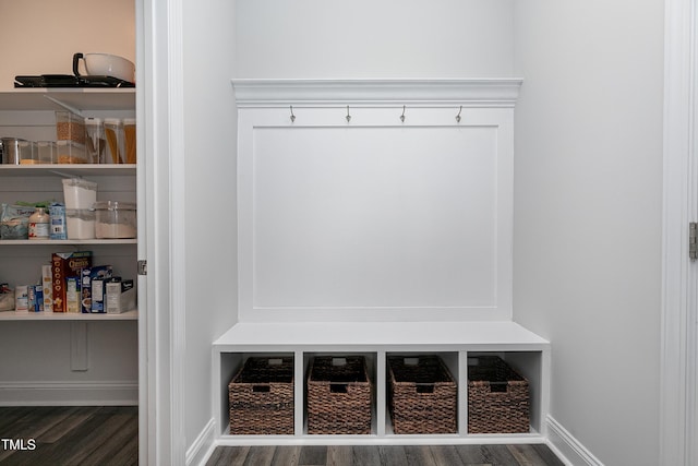 mudroom with dark hardwood / wood-style flooring