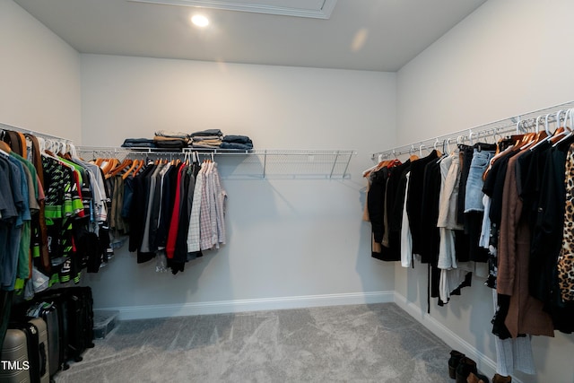 spacious closet featuring carpet flooring