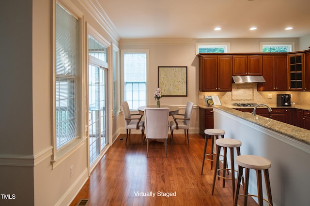 kitchen featuring under cabinet range hood, a kitchen breakfast bar, dark wood-type flooring, and tasteful backsplash