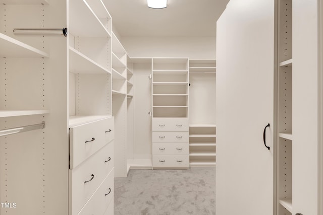 spacious closet with light carpet