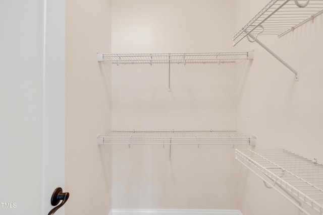 view of walk in closet