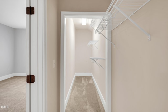 spacious closet with carpet flooring
