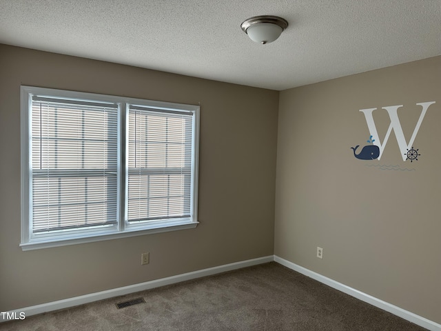 unfurnished room with carpet flooring, a wealth of natural light, and a textured ceiling