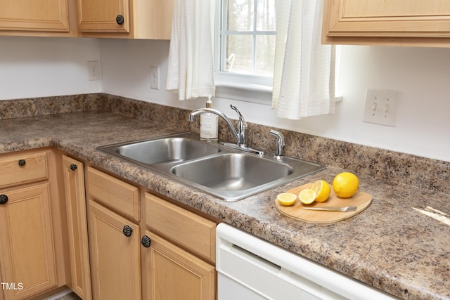 kitchen with sink and white dishwasher