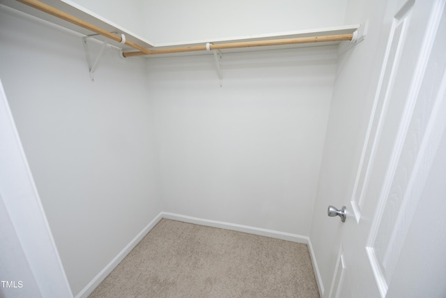 spacious closet featuring light carpet