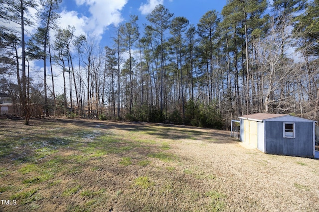 view of yard with a storage shed