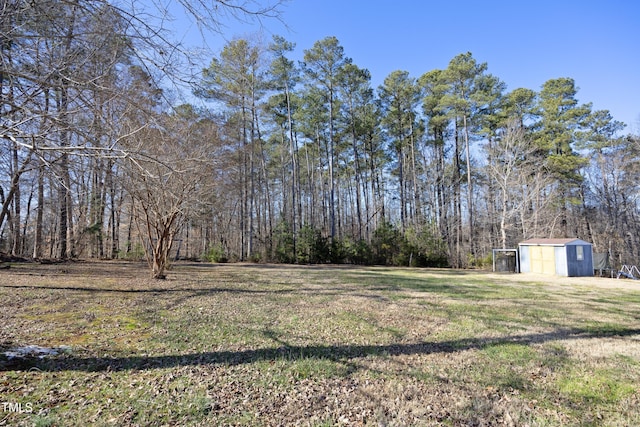 view of yard featuring a shed