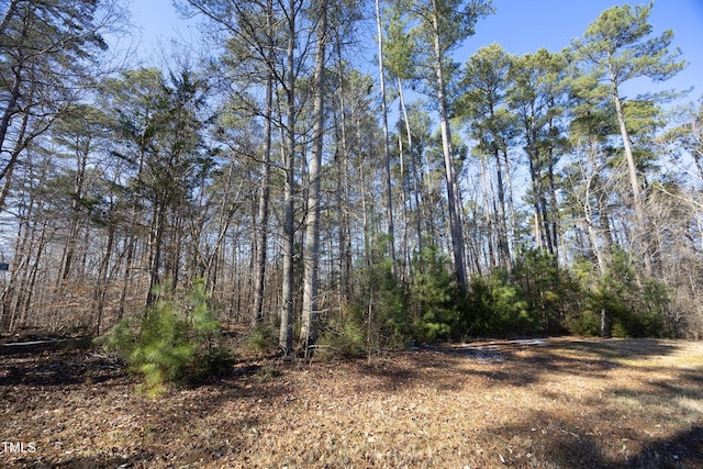 view of local wilderness