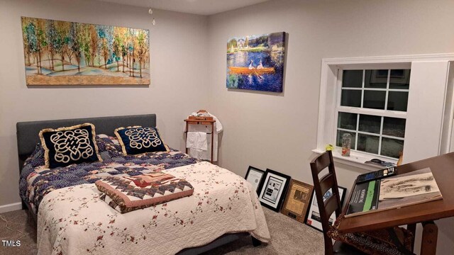 bedroom featuring carpet floors