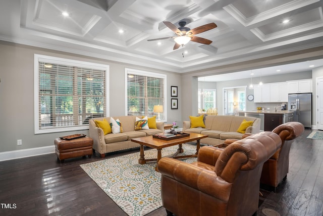 living room featuring ceiling fan, crown molding, and dark wood-type flooring