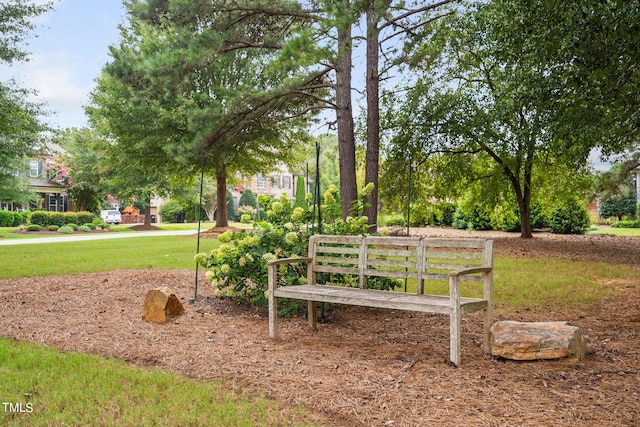 view of home's community with a lawn