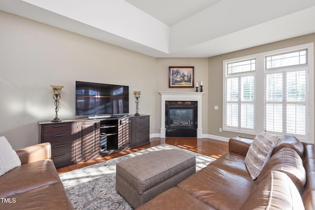 living room featuring hardwood / wood-style floors and plenty of natural light