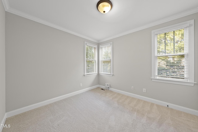 carpeted spare room with ornamental molding