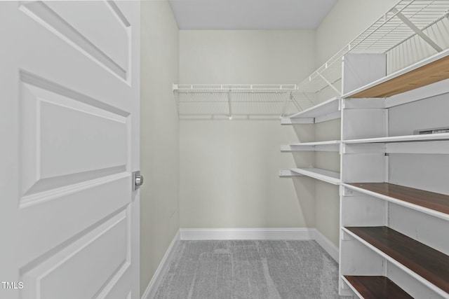 walk in closet with carpet floors