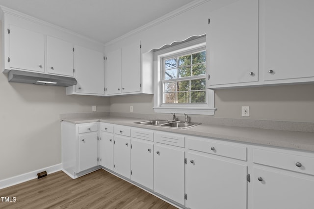 kitchen with white cabinetry, sink, and ornamental molding