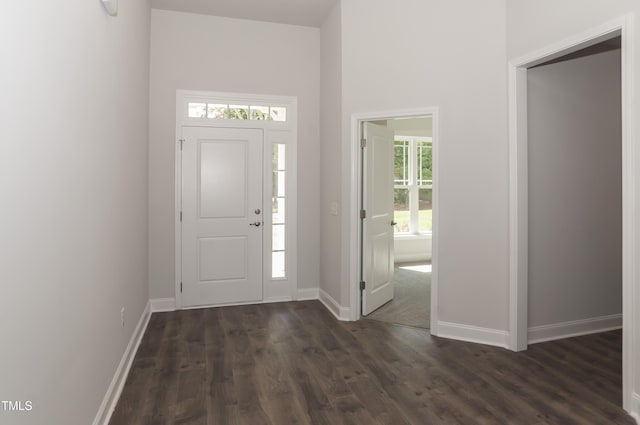 entrance foyer with dark wood-type flooring and a towering ceiling